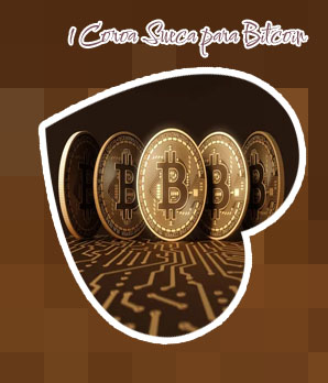 Bitcoins to sek