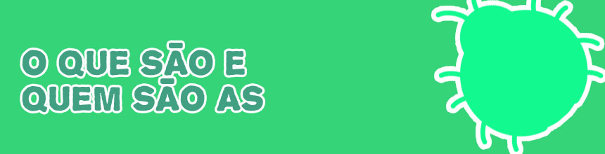 Pi cripto